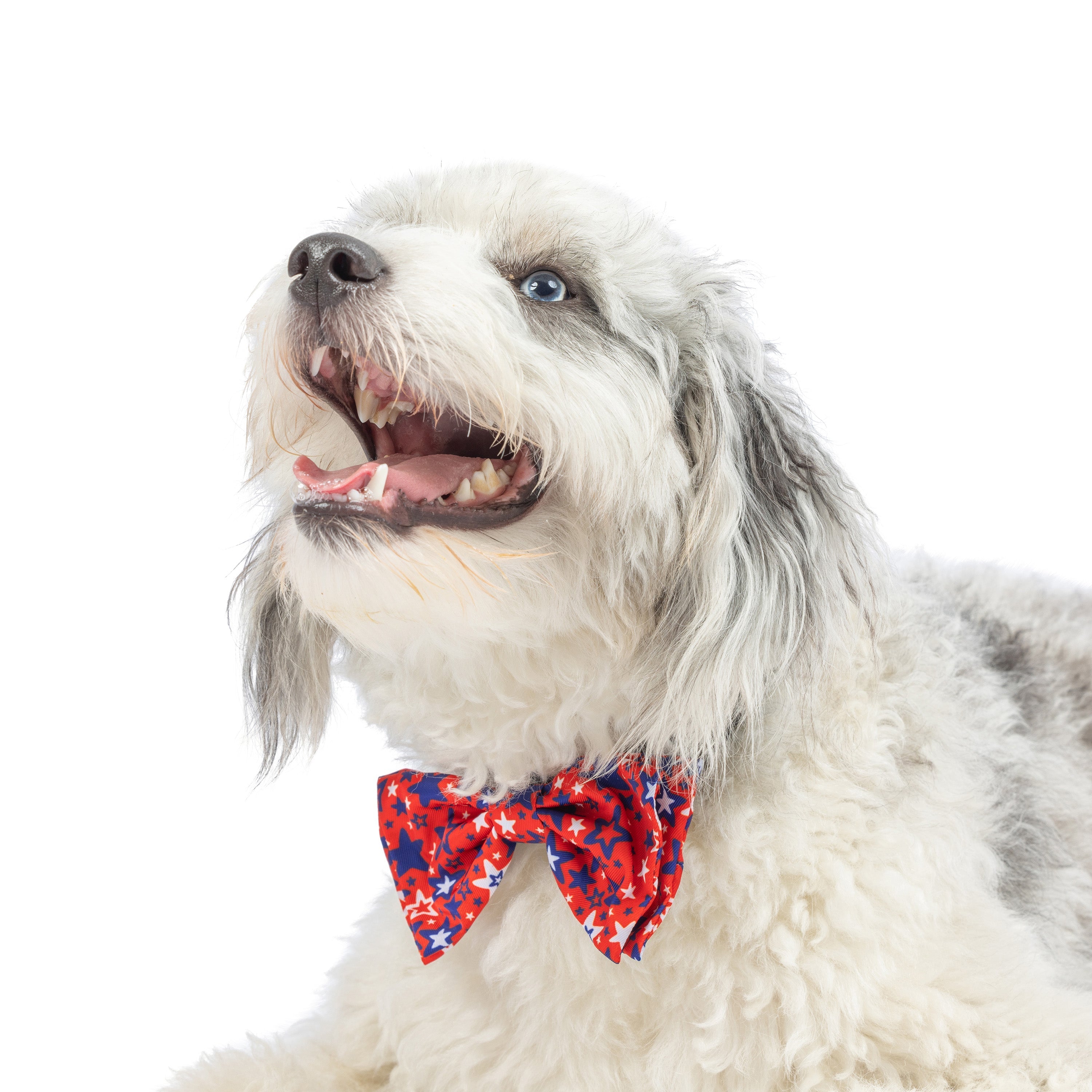 PatriotStarsBowTie2.1