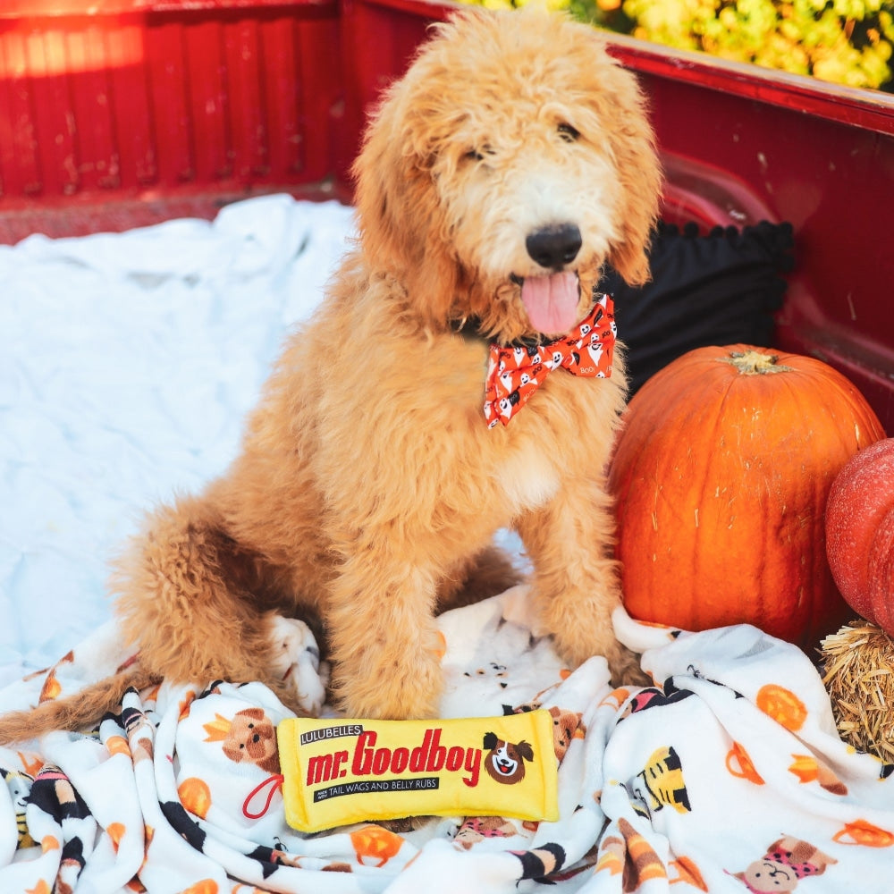 mr-goodboy-stuffless-509